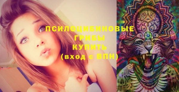 твердый Алексеевка
