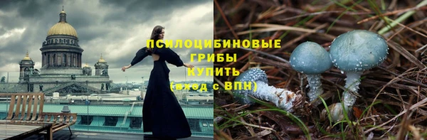 шишки Алзамай