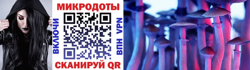 цены наркотик  Ачинск  OMG как зайти  Галлюциногенные грибы Psilocybine cubensis 