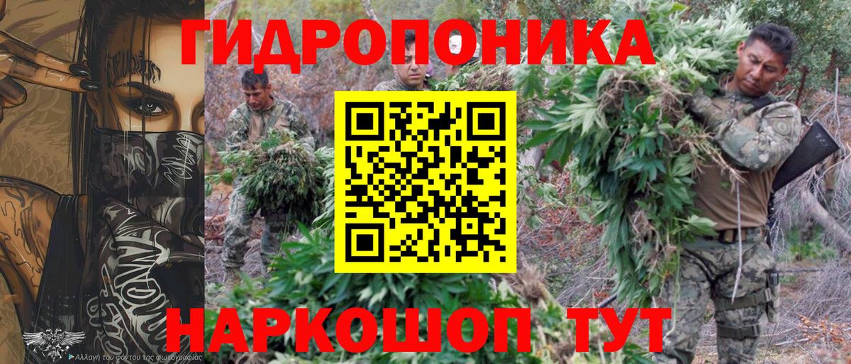 Шишки марихуана VHQ  Марихуана конопля  Вход с VPN  Ачинск  Шишки марихуана планчик  Бошки марихуана Amnesia 